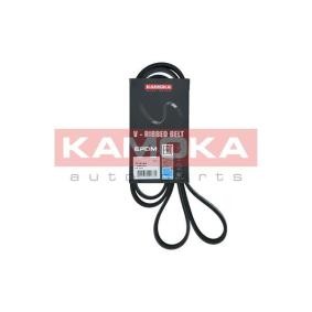 Achetez des Courroie Poly-V KAMOKA 7016139 à prix pour 15,02 €