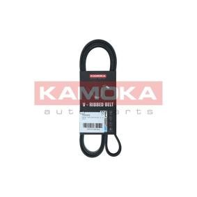 Acquista Cinghia servizi da KAMOKA online per 100 Sedan (44, 44Q, C3) a prezzi moderati