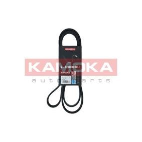 Keilrippenriemen 7016169 von KAMOKA günstig für 17,89 € online kaufen