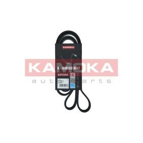 Keilrippenriemen 7016177 von KAMOKA günstig für 17,20 € online kaufen
