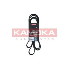 Achetez des Courroie Poly-V KAMOKA 7016229 à prix pour 21,92 €