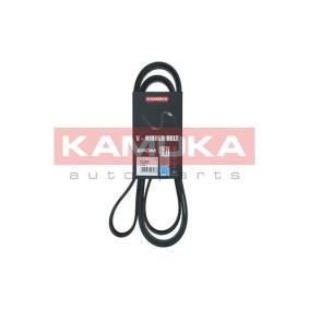 Acquista Cinghia servizi da KAMOKA 7016236 a buon mercato per soli 21,57 €