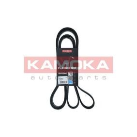 Compre Correia do alternador de KAMOKA online para C-CROSSER ENTERPRISE a preços moderados