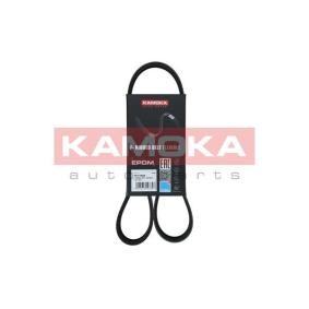 Compre Correia trapezoidal estriada da KAMOKA 7017002 a um preço baixo por 21,76 €