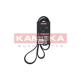 Achetez des Courroie Poly-V KAMOKA 7017043 à prix pour 16,45 €