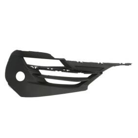 Acquista Griglia paraurti da BLIC 5513-00-0071927P a buon mercato per soli 27,90 €