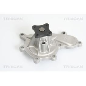 Wasserpumpe 8600 14015 von TRISCAN günstig für 62,09 € online kaufen