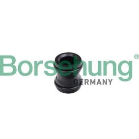 Nabe, Wasserpumpe von Borsehung