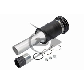 Luftfederbein 71203 von Dunlop Airsuspension günstig für 322,95 € online kaufen