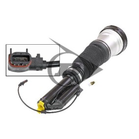 Luftfederbein 71205 von Dunlop Airsuspension günstig für 1061,01 € online kaufen
