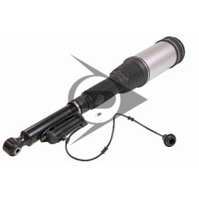 Luftfederbein 71206 von Dunlop Airsuspension günstig für 1006,96 € online kaufen