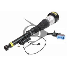 Luftfederbein 71213 von Dunlop Airsuspension günstig für 1042,24 € online kaufen