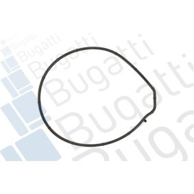 Wasserpumpe PA6201 von BUGATTI günstig für 47,28 € online kaufen
