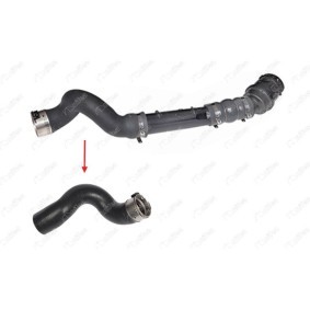 Comprar Tubo flexible de aire de sobrealimentación de NIFEA 11774 a bajo precio de 60,26 €