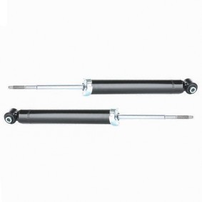 Compre Amortecedor da RIDEX 854S18798 a um preço baixo por 36,77 €
