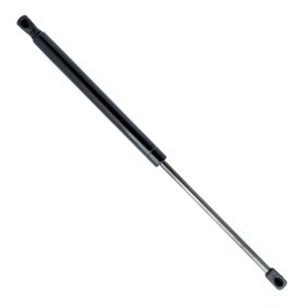 Heckklappendämpfer für AUDI von EINPARTS