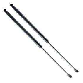 Gasfeder, Heckscheibe EP10270GS von EINPARTS günstig für 10,75 € online kaufen