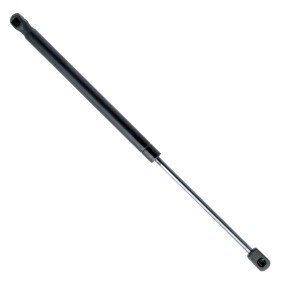 Heckklappendämpfer EP10271GS von EINPARTS günstig für 9,18 € online kaufen