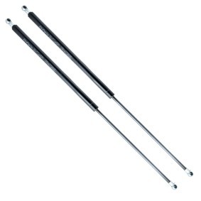 Heckklappendämpfer für HONDA von EINPARTS