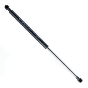 Heckklappendämpfer EP11079GS von EINPARTS günstig für 11,63 € online kaufen