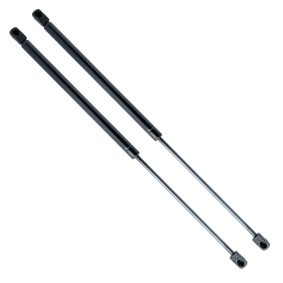 Heckklappendämpfer für PEUGEOT von EINPARTS