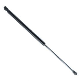 Heckklappendämpfer für AUDI von EINPARTS