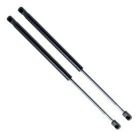 Heckklappendämpfer EP9187GS von EINPARTS günstig für 13,60 € online kaufen