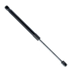 Gasfeder, Heckscheibe EP9893GS von EINPARTS günstig für 12,09 € online kaufen