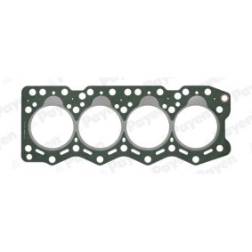 Zylinderkopfdichtung AY700 von PAYEN günstig für 40,66 € online kaufen