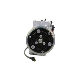 Acquista Compressore aria condizionata da BV PSH 090.575.036.000 a buon mercato per soli 335,78 €