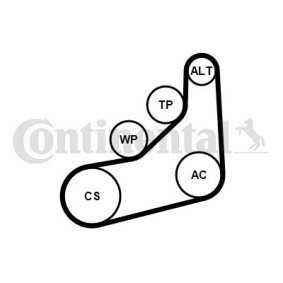 Achetez des Kit de courroie d'accessoire de chez CONTITECH en ligne pour X5 (G05, F95) à prix modérés