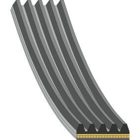 Keilrippenriemen 181286 von FEBI BILSTEIN günstig für 16,25 € online kaufen