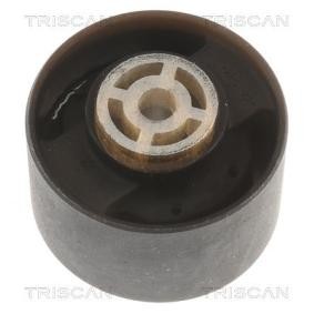 Motorlager von TRISCAN