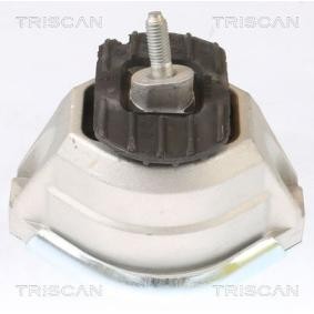 Motorlager von TRISCAN