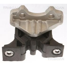 Motorlager von TRISCAN