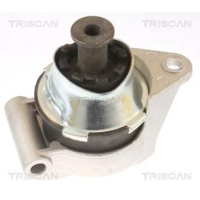 Motorlager von TRISCAN