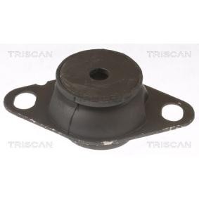 Motorlager von TRISCAN