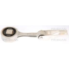Motorlager von TRISCAN