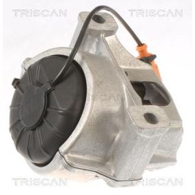 Acquista Supporto motore da TRISCAN 8505 29133 a buon mercato per soli 105,89 €