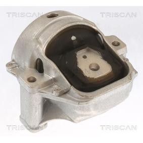 Motorlager von TRISCAN