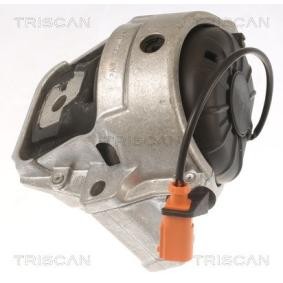 Acquista Supporto motore da TRISCAN 8505 29178 a buon mercato per soli 152,28 €