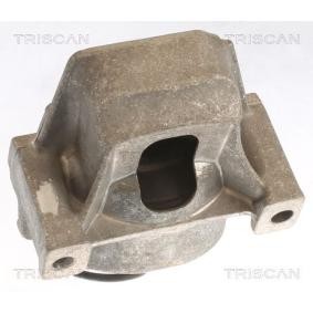 Acquista Supporto motore da TRISCAN 8505 29196 a buon mercato per soli 171,40 €