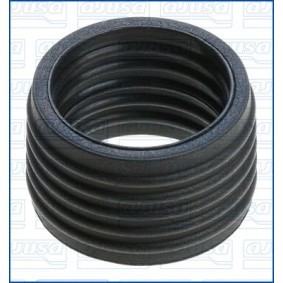 Dichtung, Kühlmittelrohrleitung 01621600 von AJUSA günstig für 6,63 € online kaufen