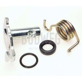 Reparatursatz, Feststellbremshebel (Bremssattel) 209910 von BUDWEG CALIPER günstig für 20,68 € online kaufen