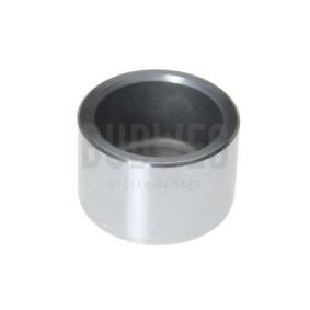 Compre Êmbolo, pinça do travão da BUDWEG CALIPER 234602 a um preço baixo por 19,92 €