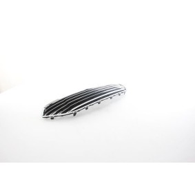 Kühlergrill BSG 30-922-199 von BSG günstig für 98,15 € online kaufen