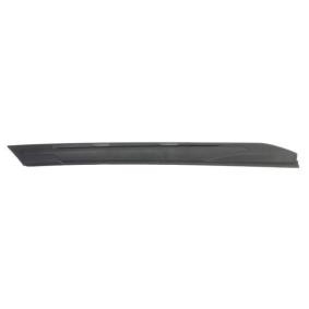 Zier- / Schutzleiste, Kotflügel 5703-04-5547421P von BLIC günstig für 17,31 € online kaufen