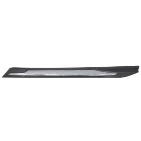 Zier- / Schutzleiste, Kotflügel 5703-04-5547424P von BLIC günstig für 31,57 € online kaufen