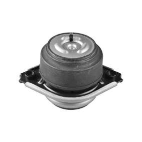 Motorlager TED57243