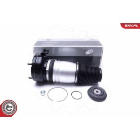 Acquista Ammortizzatore pneumatico da ESEN SKV 58SKV069 a buon mercato per soli 348,13 €